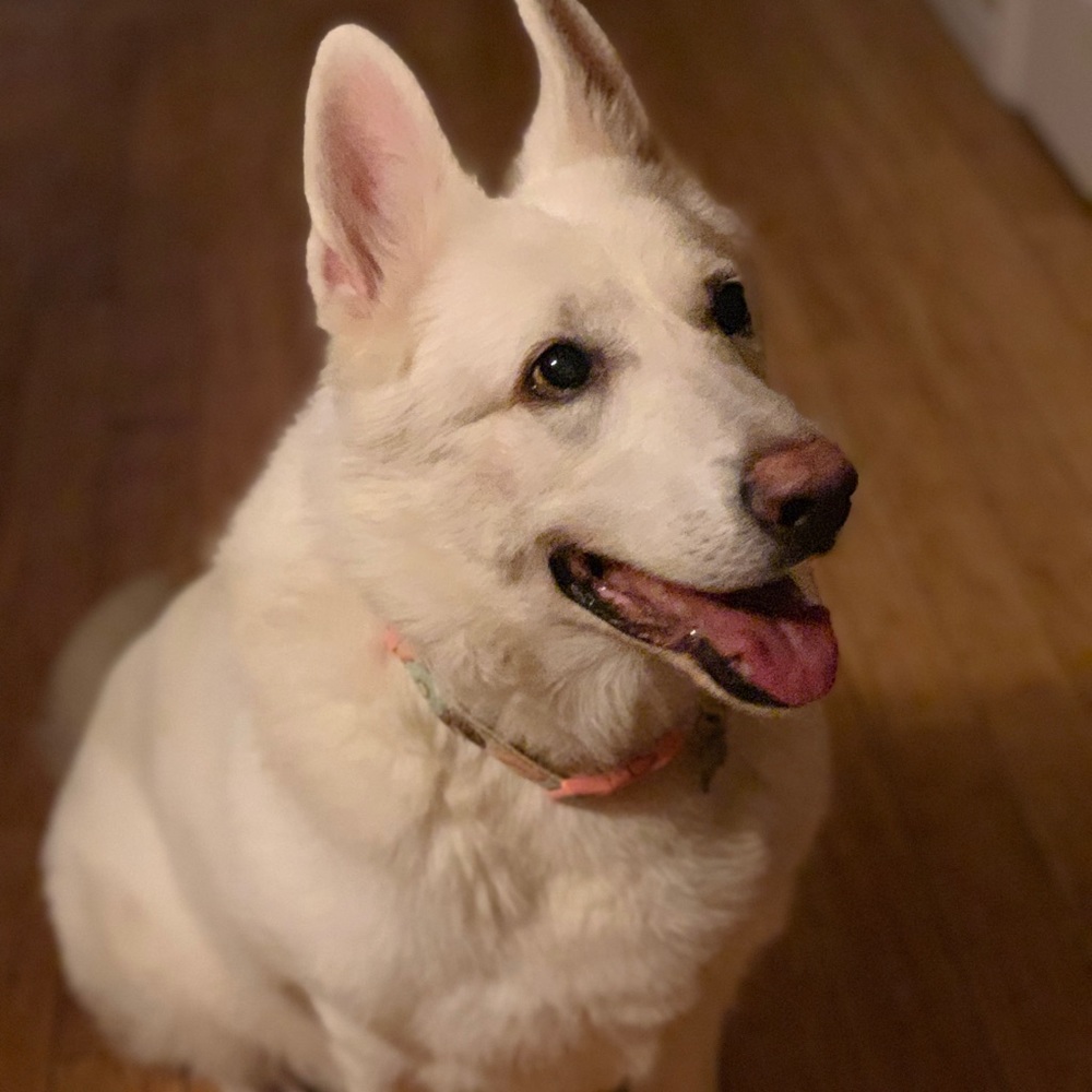 Meet your Posher, Serena